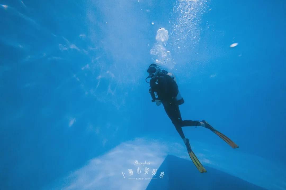 这钱赚得真窝囊!郑建辉怒推丁伟,太伤自尊,难怪巩大师不出山